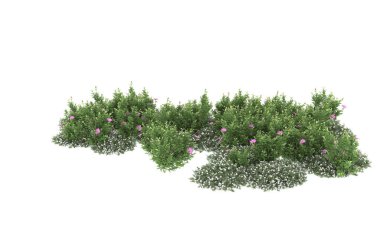 Field of grass isolated on white background. 3d rendering - illustration