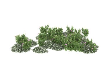 Field of grass isolated on white background. 3d rendering - illustration