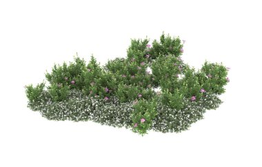 Field of grass isolated on white background. 3d rendering - illustration