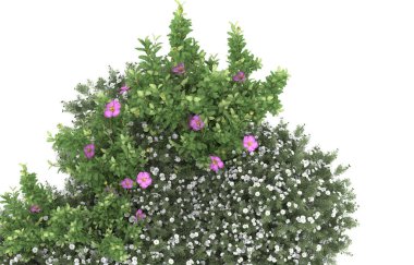 Field of grass isolated on white background. 3d rendering - illustration