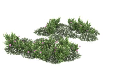 Field of grass isolated on white background. 3d rendering - illustration