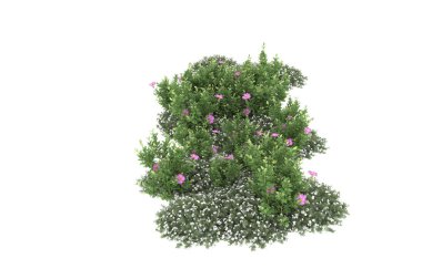 Field of grass isolated on white background. 3d rendering - illustration