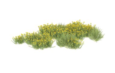 Field of grass isolated on white background. 3d rendering - illustration