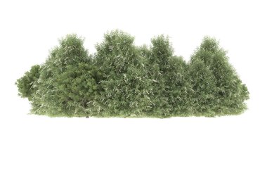 Field of grass isolated on white background. 3d rendering - illustration