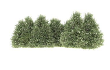 Field of grass isolated on white background. 3d rendering - illustration