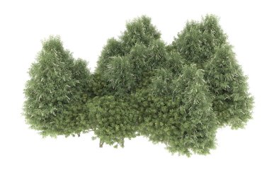 Field of grass isolated on white background. 3d rendering - illustration