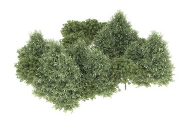 Field of grass isolated on white background. 3d rendering - illustration