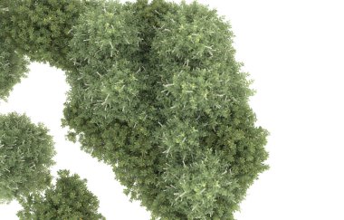 Field of grass isolated on white background. 3d rendering - illustration