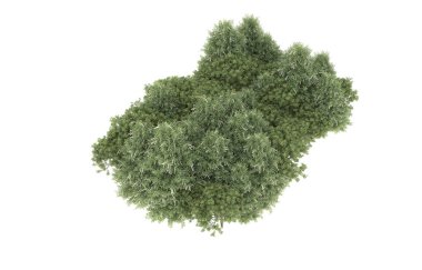 Field of grass isolated on white background. 3d rendering - illustration