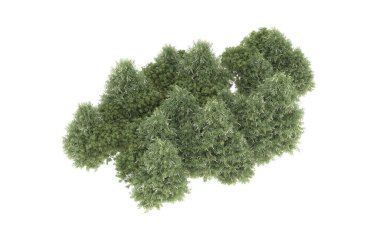 Field of grass isolated on white background. 3d rendering - illustration