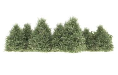 Field of grass isolated on white background. 3d rendering - illustration