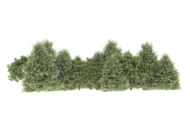 Field of grass isolated on white background. 3d rendering - illustration