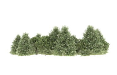 Field of grass isolated on white background. 3d rendering - illustration