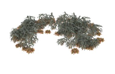 Field of grass isolated on white background. 3d rendering - illustration