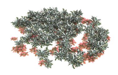 Field of grass isolated on white background. 3d rendering - illustration