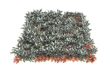 Field of grass isolated on white background. 3d rendering - illustration