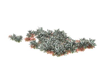 Field of grass isolated on white background. 3d rendering - illustration