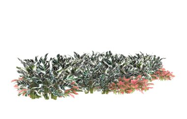 Field of grass isolated on white background. 3d rendering - illustration