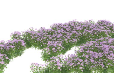 Field of grass isolated on white background. 3d rendering - illustration