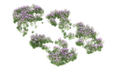 Field of grass isolated on white background. 3d rendering - illustration