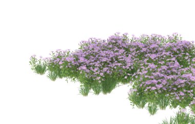 Field of grass isolated on white background. 3d rendering - illustration