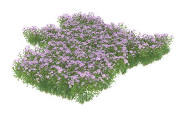 Field of grass isolated on white background. 3d rendering - illustration