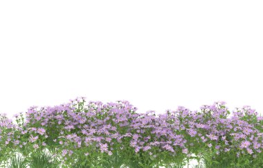 Field of grass isolated on white background. 3d rendering - illustration