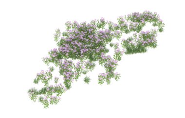 Field of grass isolated on white background. 3d rendering - illustration