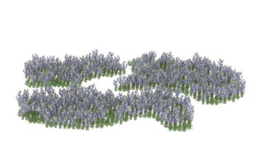 Field of grass isolated on white background. 3d rendering - illustration