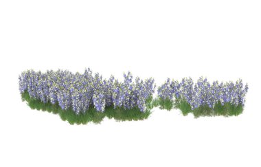 Field of grass isolated on white background. 3d rendering - illustration