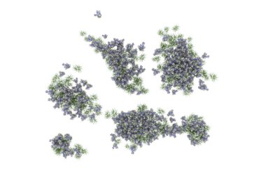 Field of grass isolated on white background. 3d rendering - illustration