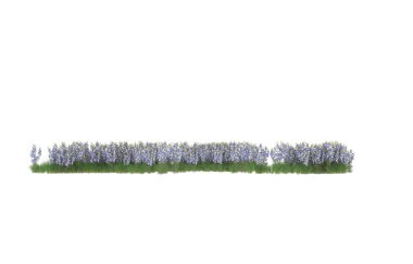 Field of grass isolated on white background. 3d rendering - illustration