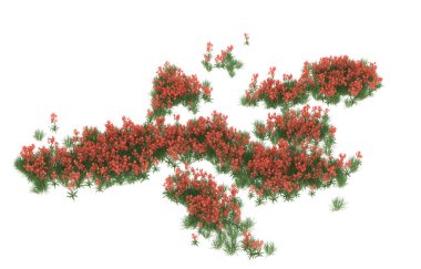 Field of grass isolated on white background. 3d rendering - illustration