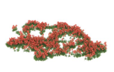 Field of grass isolated on white background. 3d rendering - illustration