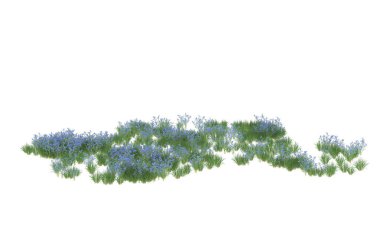 Field of grass isolated on white background. 3d rendering - illustration