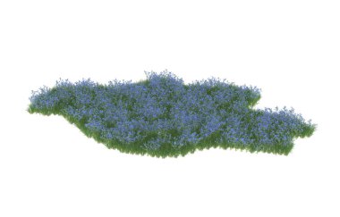 Field of grass isolated on white background. 3d rendering - illustration