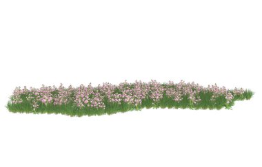 Field of grass isolated on white background. 3d rendering - illustration