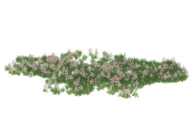 Field of grass isolated on white background. 3d rendering - illustration