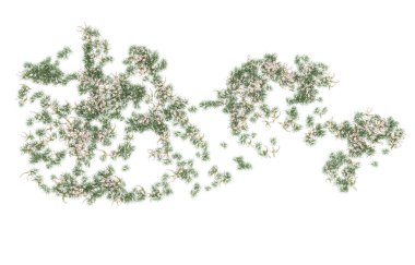 Field of grass isolated on white background. 3d rendering - illustration