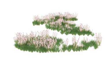 Field of grass isolated on white background. 3d rendering - illustration