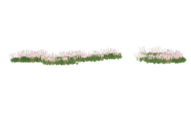 Field of grass isolated on white background. 3d rendering - illustration