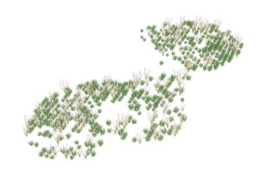 Field of grass isolated on white background. 3d rendering - illustration