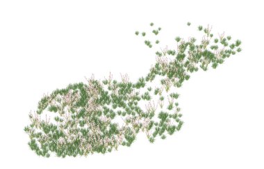 Field of grass isolated on white background. 3d rendering - illustration