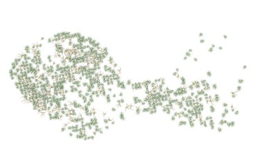 Field of grass isolated on white background. 3d rendering - illustration