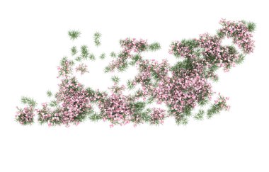 Field of grass isolated on white background. 3d rendering - illustration