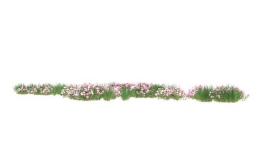 Field of grass isolated on white background. 3d rendering - illustration