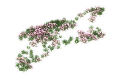 Field of grass isolated on white background. 3d rendering - illustration