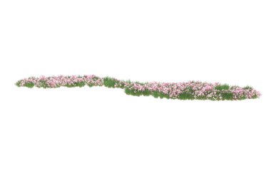 Field of grass isolated on white background. 3d rendering - illustration