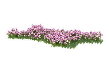 Field of grass isolated on white background. 3d rendering - illustration