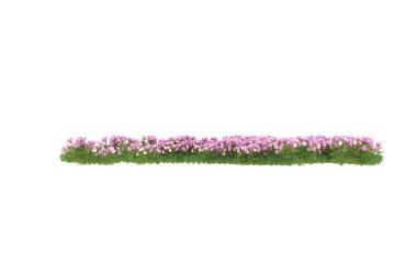 Field of grass isolated on white background. 3d rendering - illustration